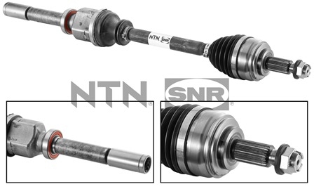 SNR DK55.112 Albero...