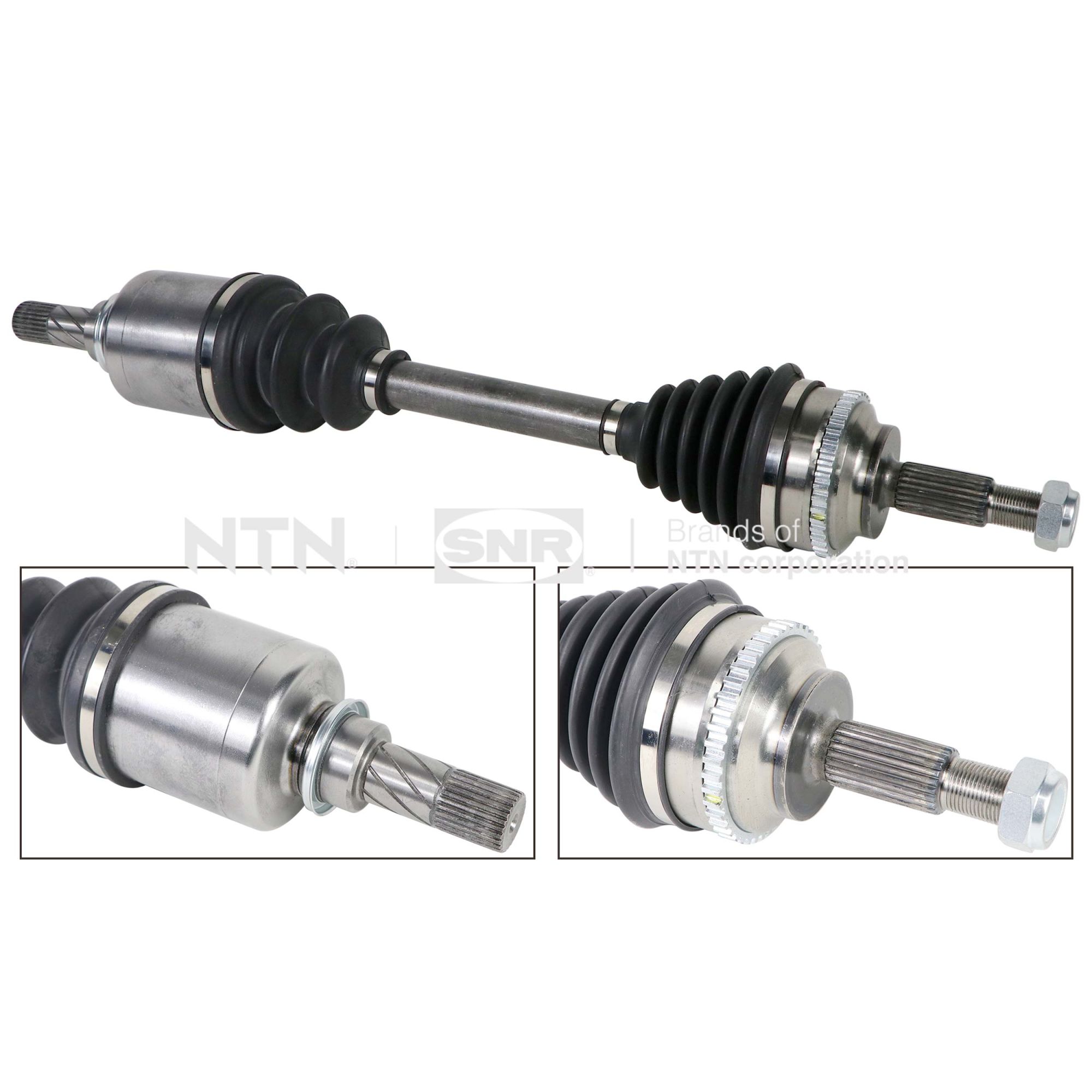 SNR DK55.113 Albero...