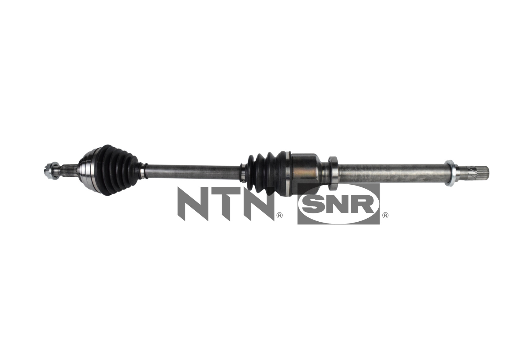 SNR DK55.115 Albero...