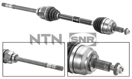 SNR DK55.119 Albero...
