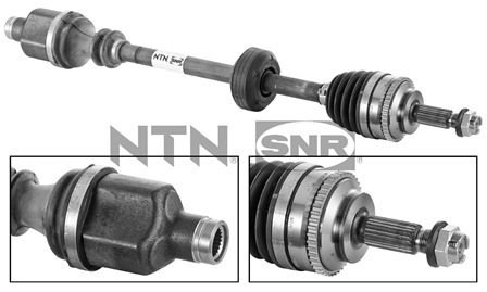 SNR DK55.122 Albero...