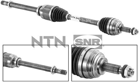 SNR DK55.124 Albero...