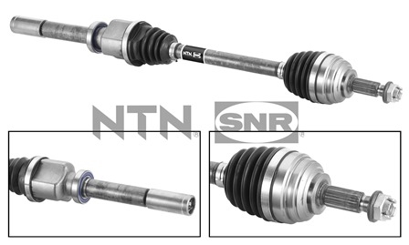 SNR DK55.135 Albero...