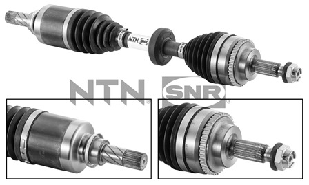 SNR DK55.136 Albero...
