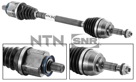 SNR DK55.137 Albero...
