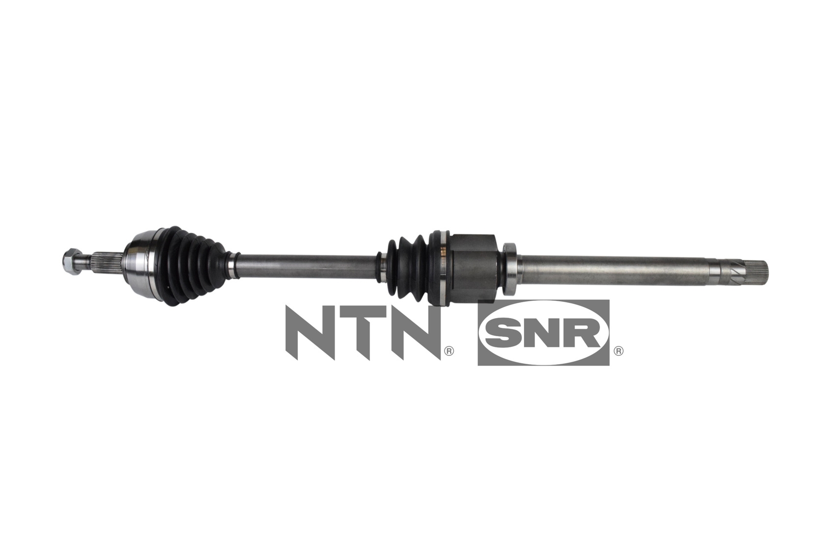 SNR DK55.138 Albero...