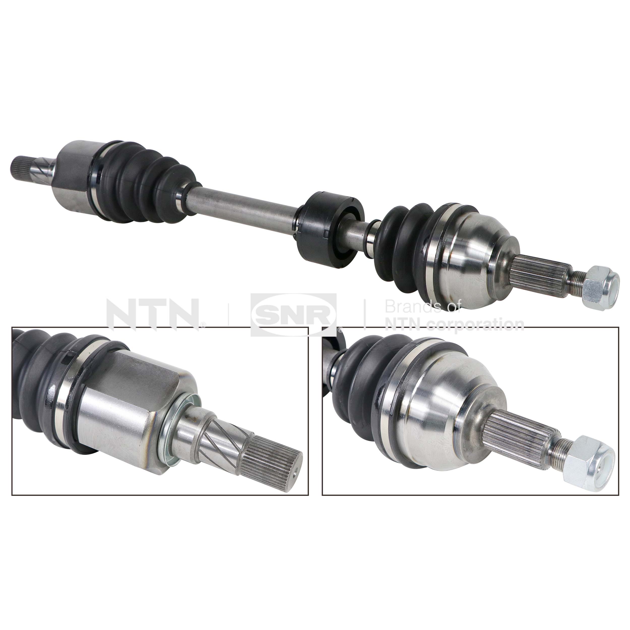 SNR DK55.145 Albero...