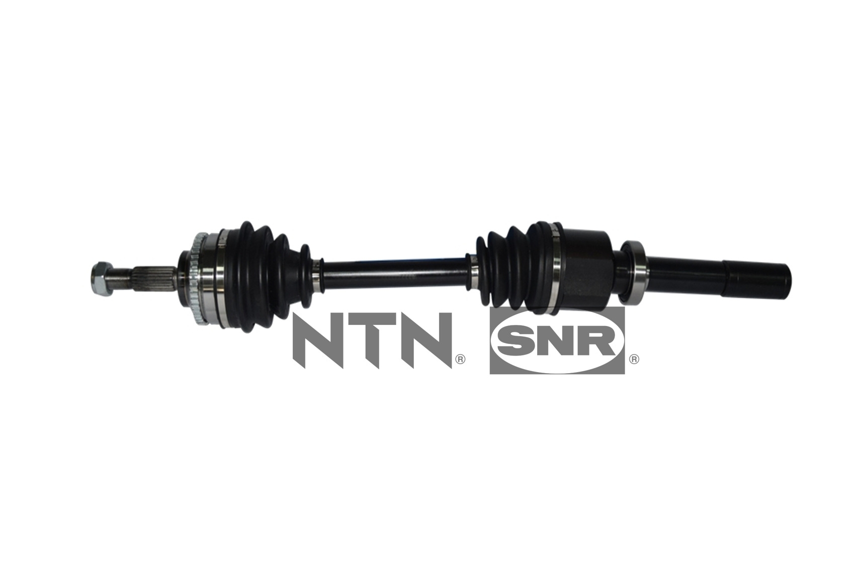 SNR DK55.147 Albero...