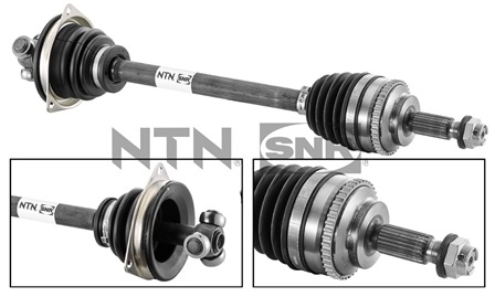 SNR DK55.148 Albero...