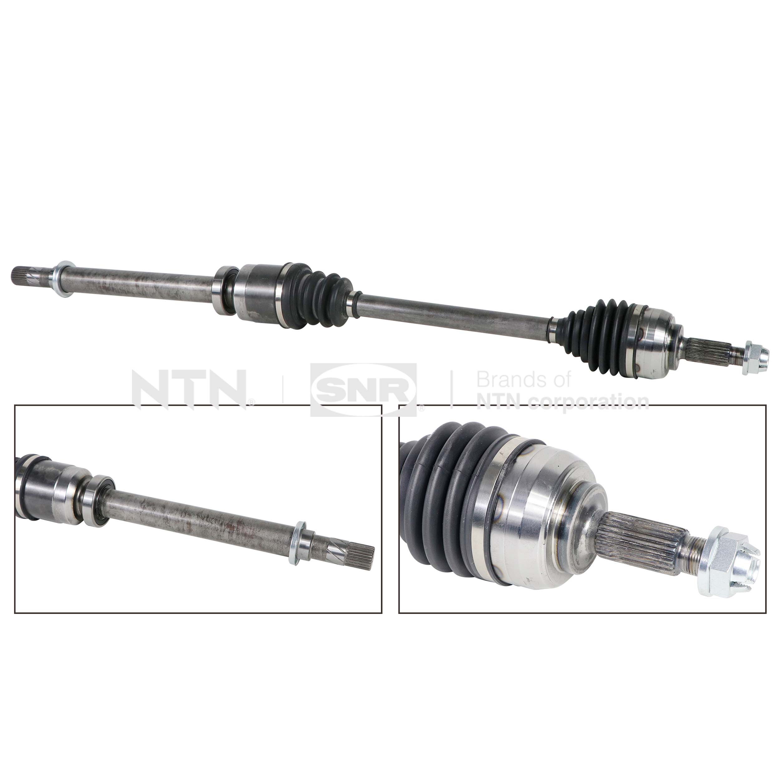 SNR DK55.149 Albero...