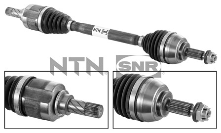 SNR DK55.151 Albero...