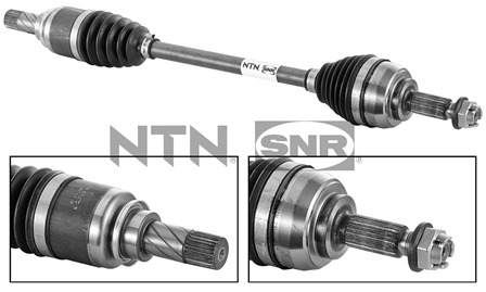 SNR DK55.156 Albero...