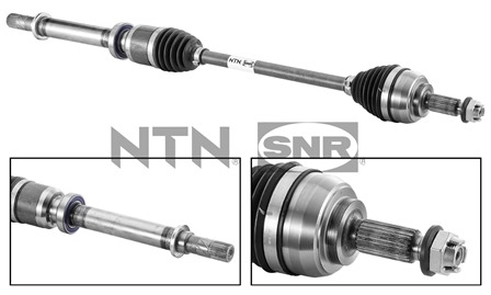 SNR DK55.157 Albero...
