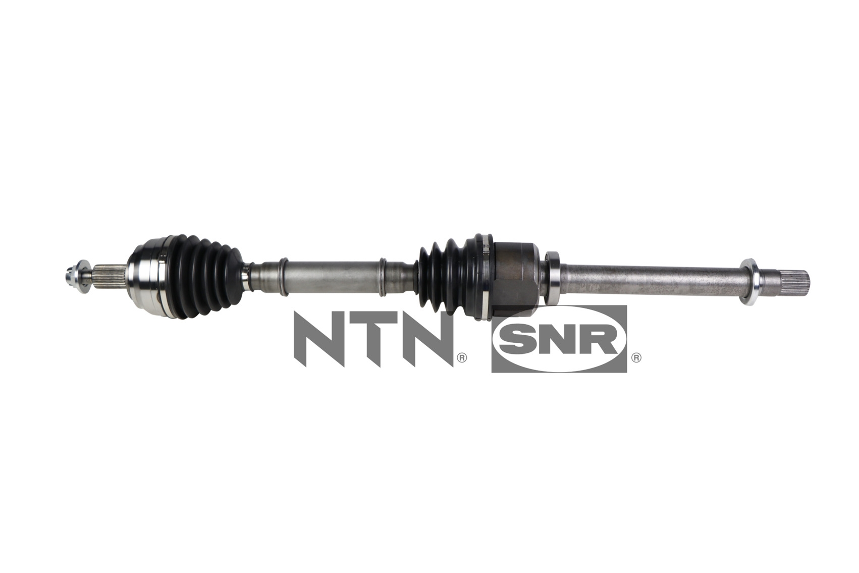 SNR DK55.162 Albero...