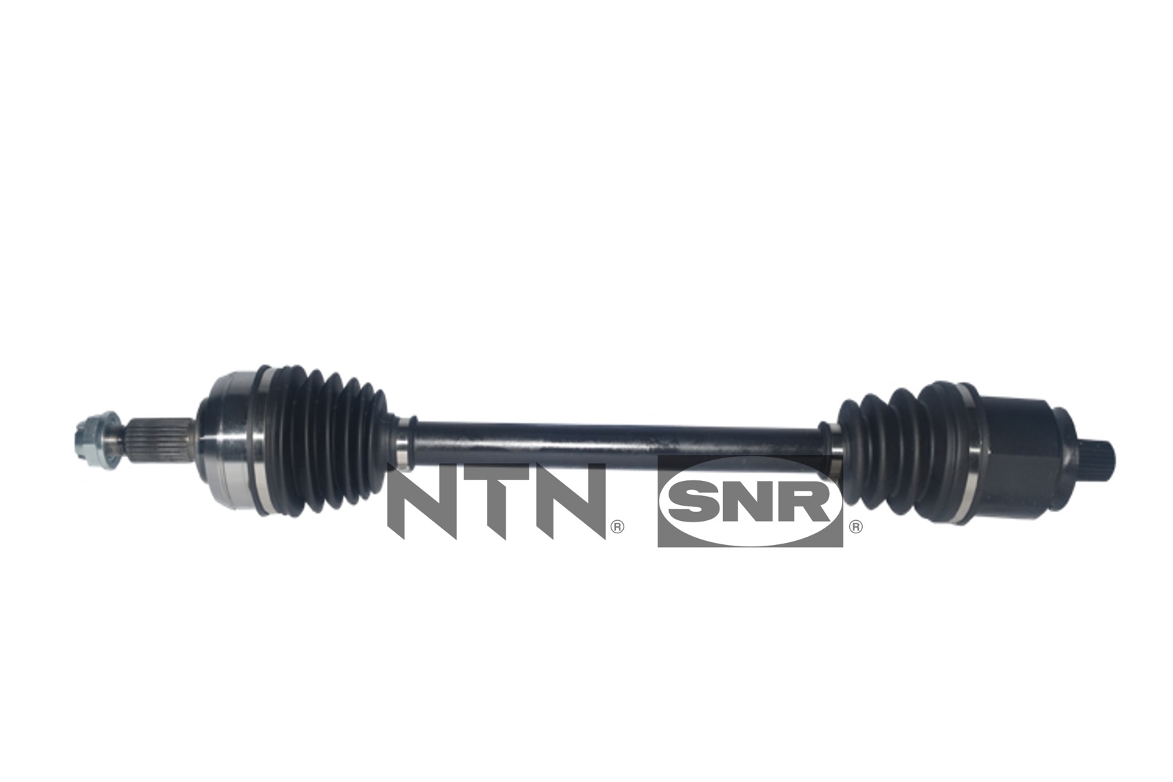 SNR DK55.164 Albero...