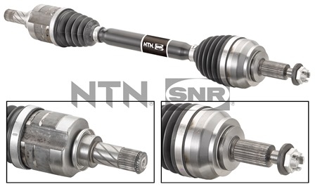 SNR DK55.170 Albero...