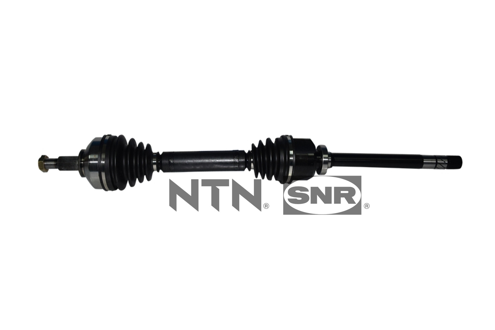 SNR DK55.183 Albero...