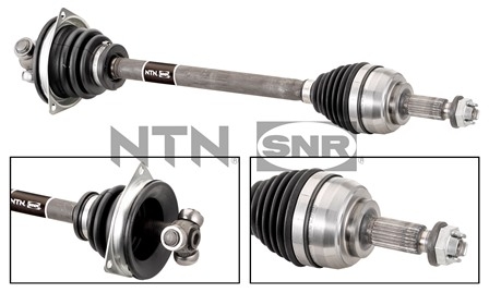 SNR DK55.184 Albero...