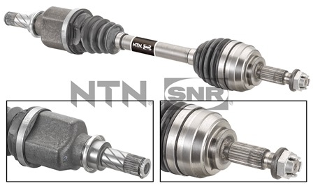 SNR DK55.185 Albero...