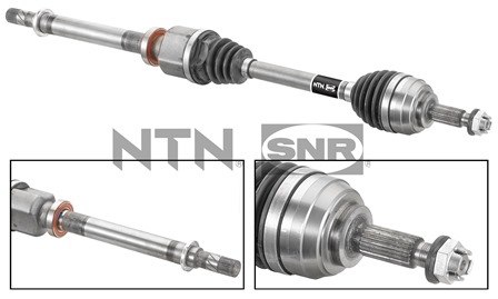 SNR DK55.186 Albero...