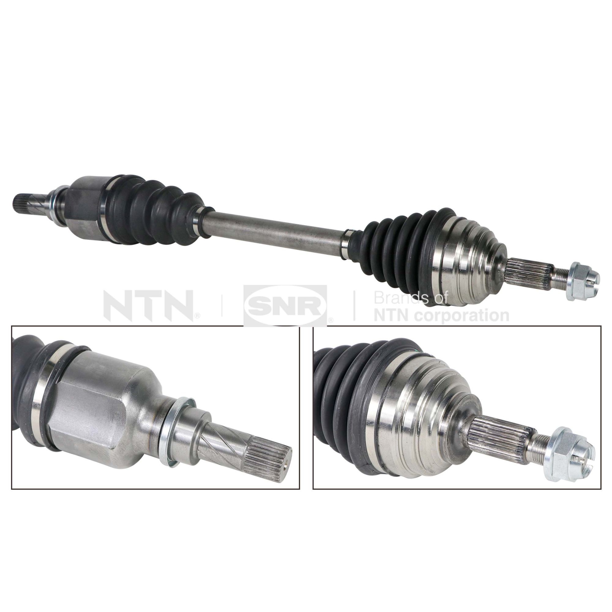 SNR DK55.187 Albero...