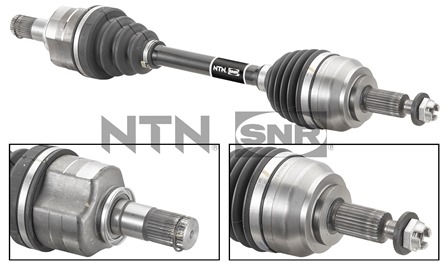 SNR DK55.192 Albero...