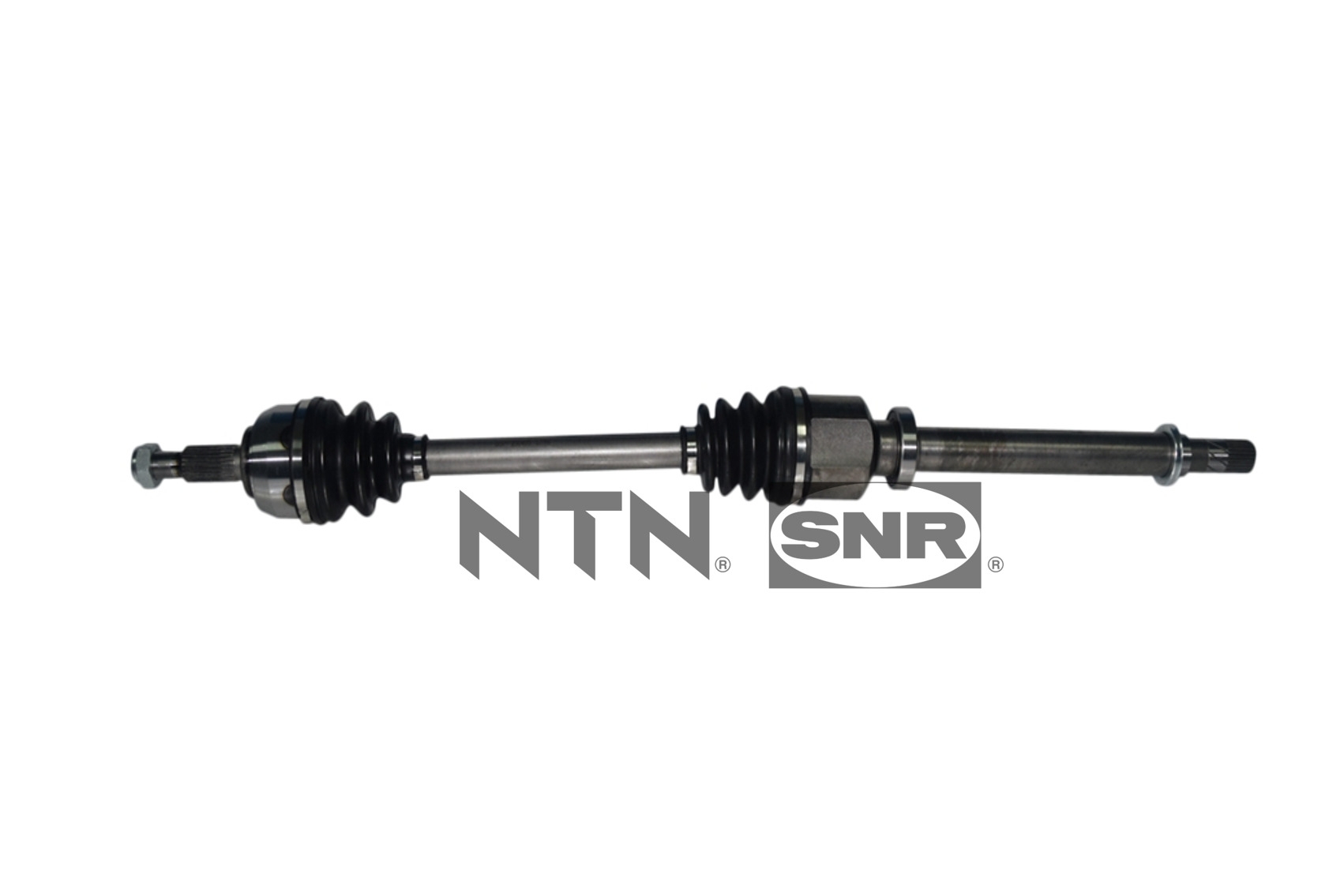 SNR DK55.198 Albero...