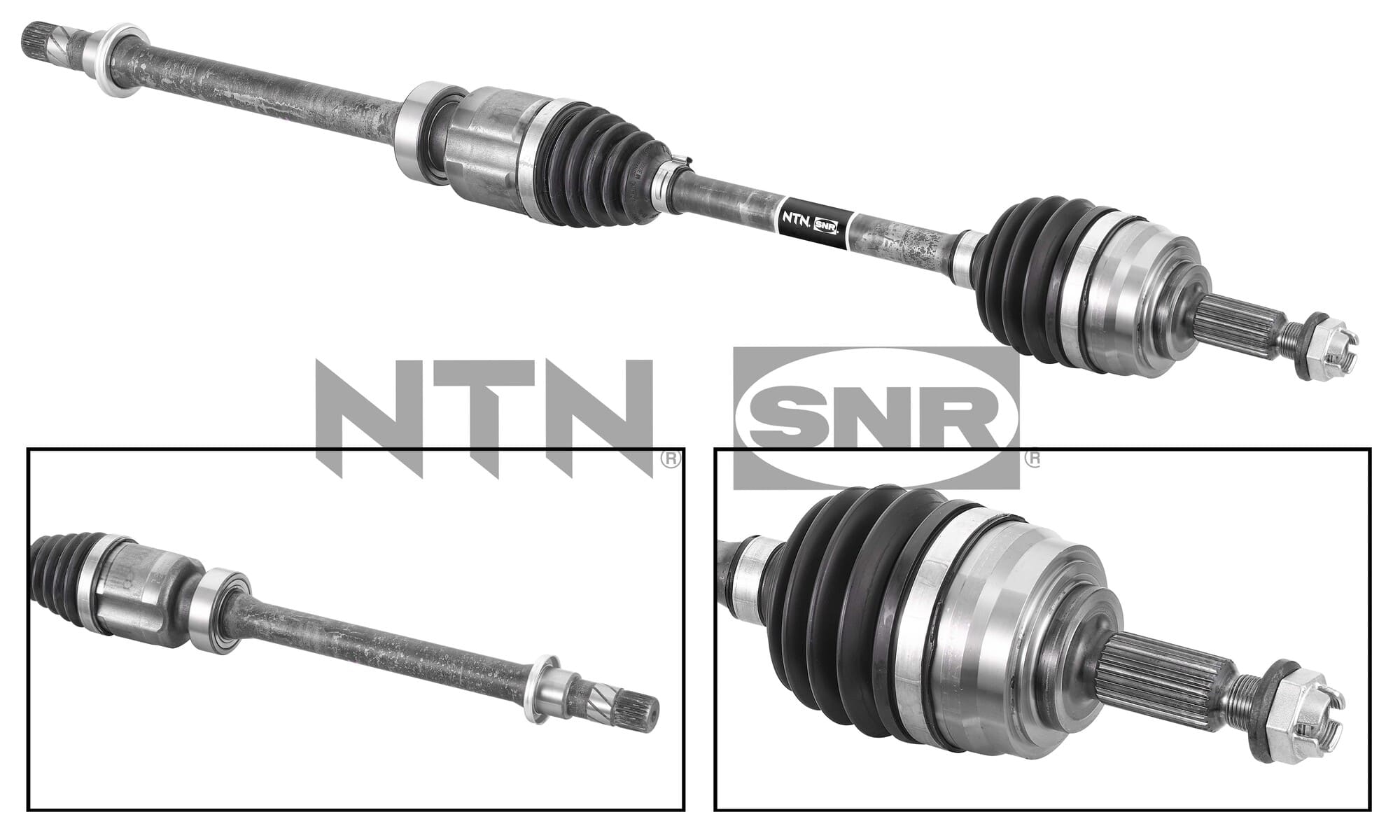 SNR DK55.202 Albero...