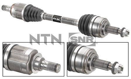 SNR DK55.203 Albero...