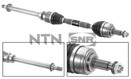 SNR DK55.204 Albero...
