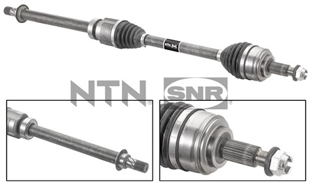 SNR DK55.206 Albero...