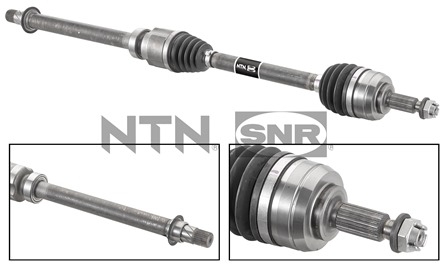 SNR DK55.207 Albero...