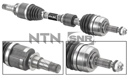 SNR DK55.208 Albero...