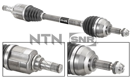 SNR DK55.209 Albero...