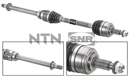 SNR DK55.211 Albero...