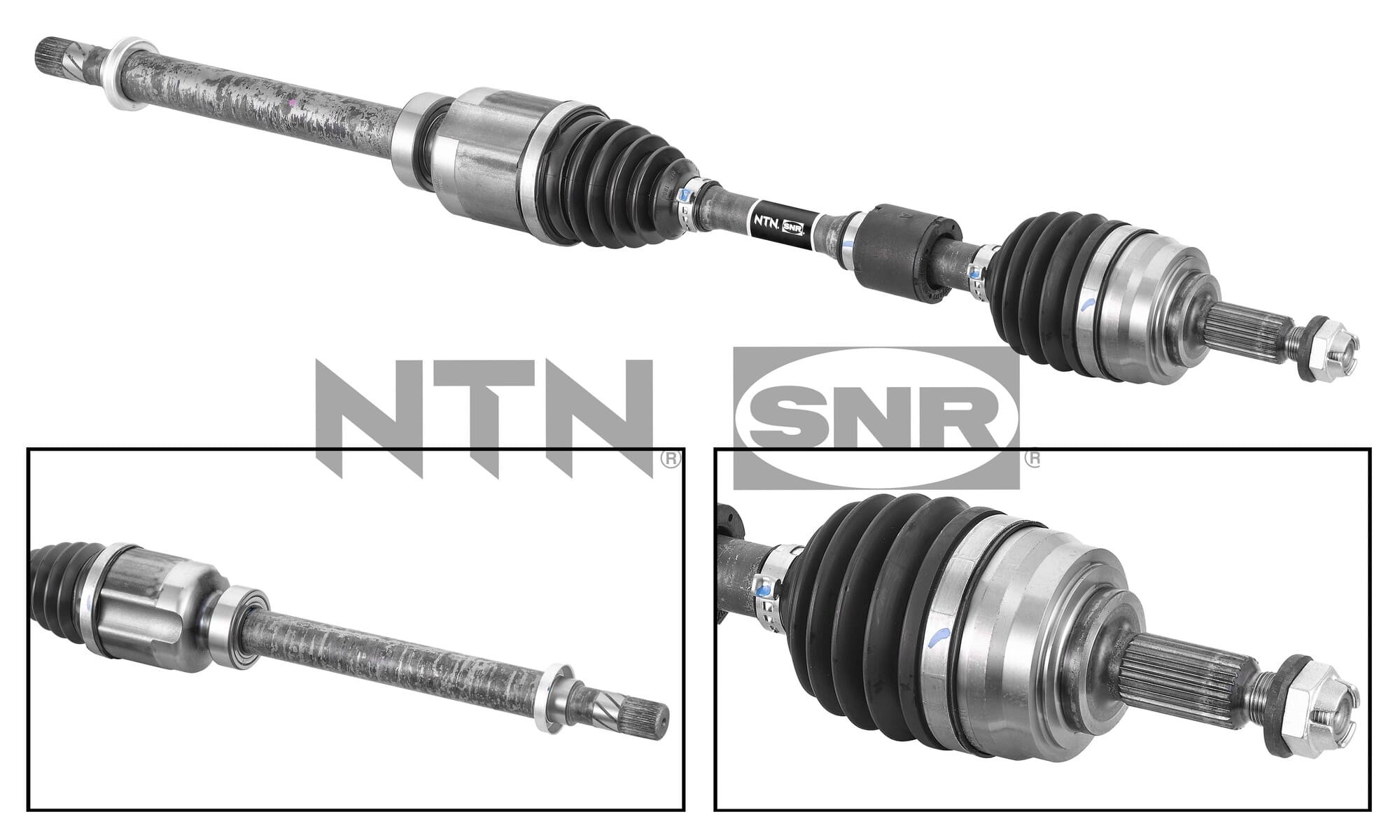 SNR DK55.212 Albero...