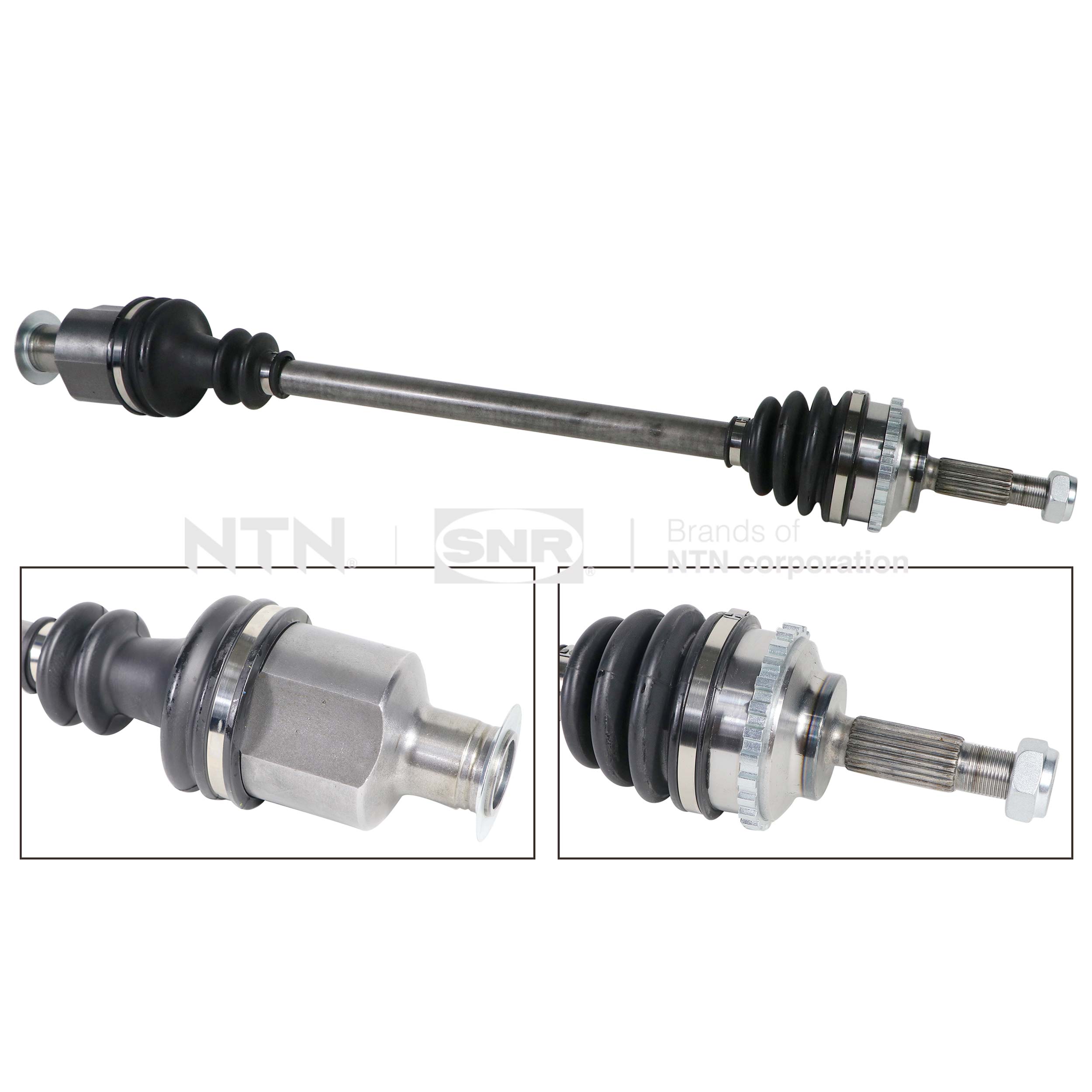SNR DK55.214 Albero...
