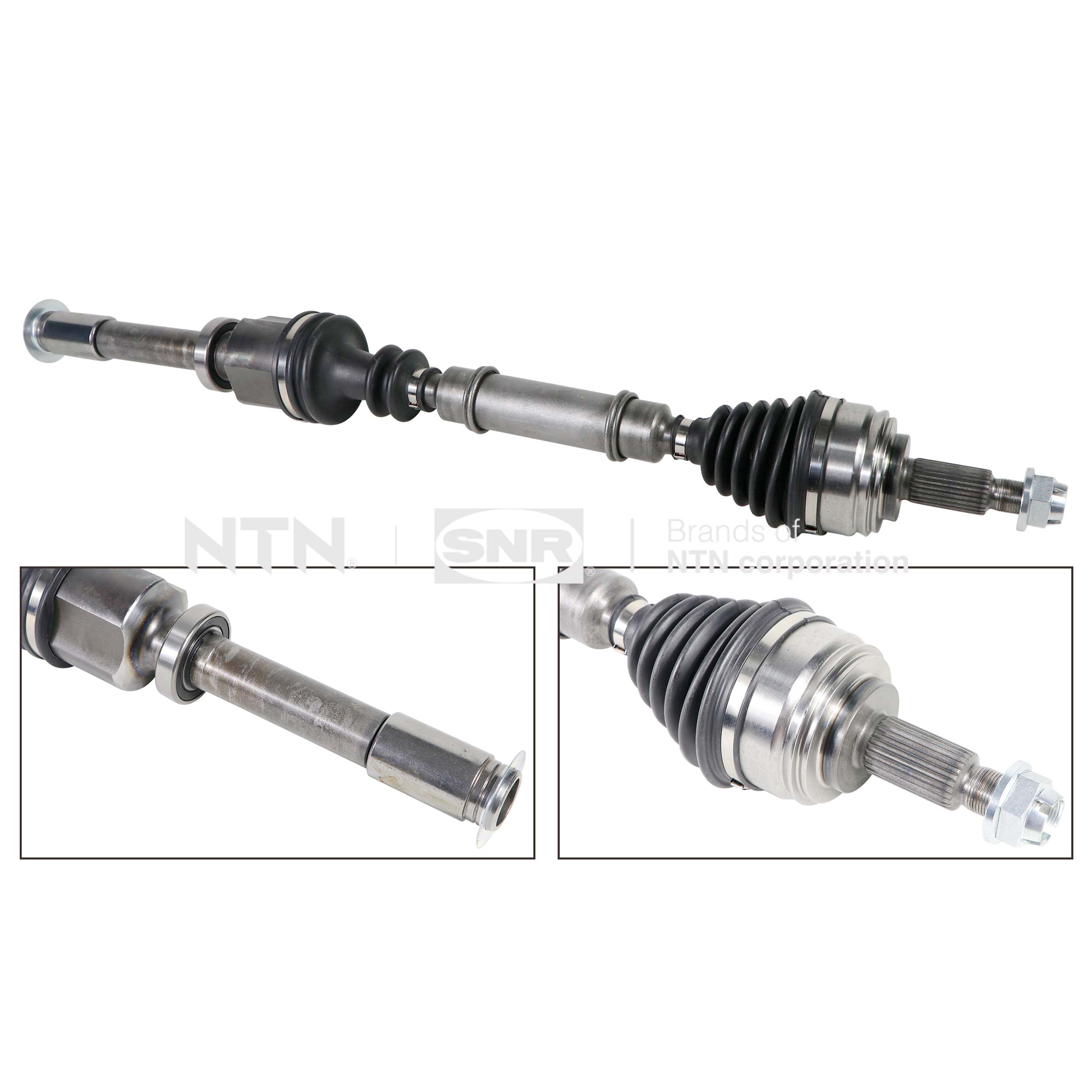 SNR DK55.215 Albero...
