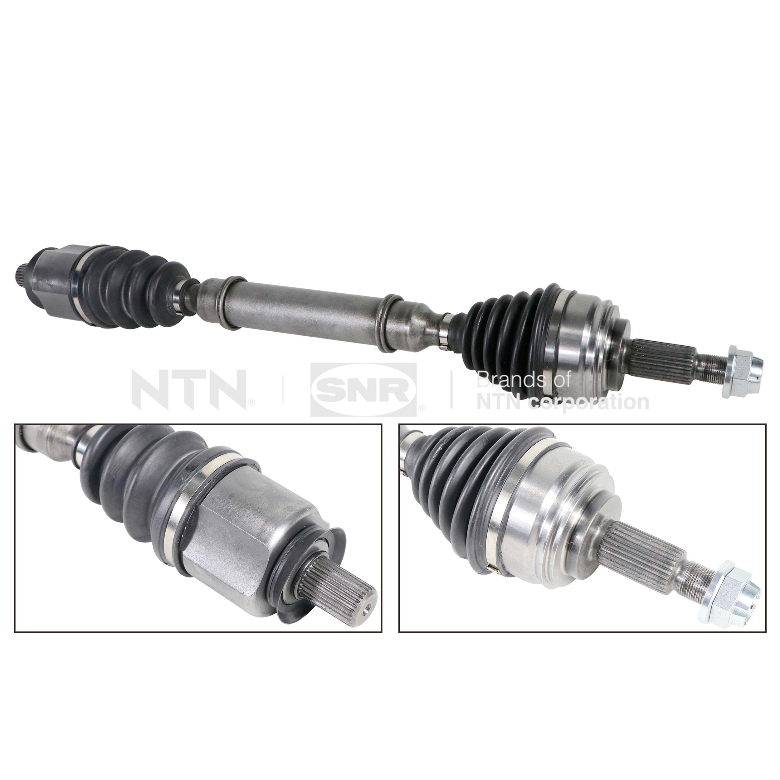 SNR DK55.216 Albero...
