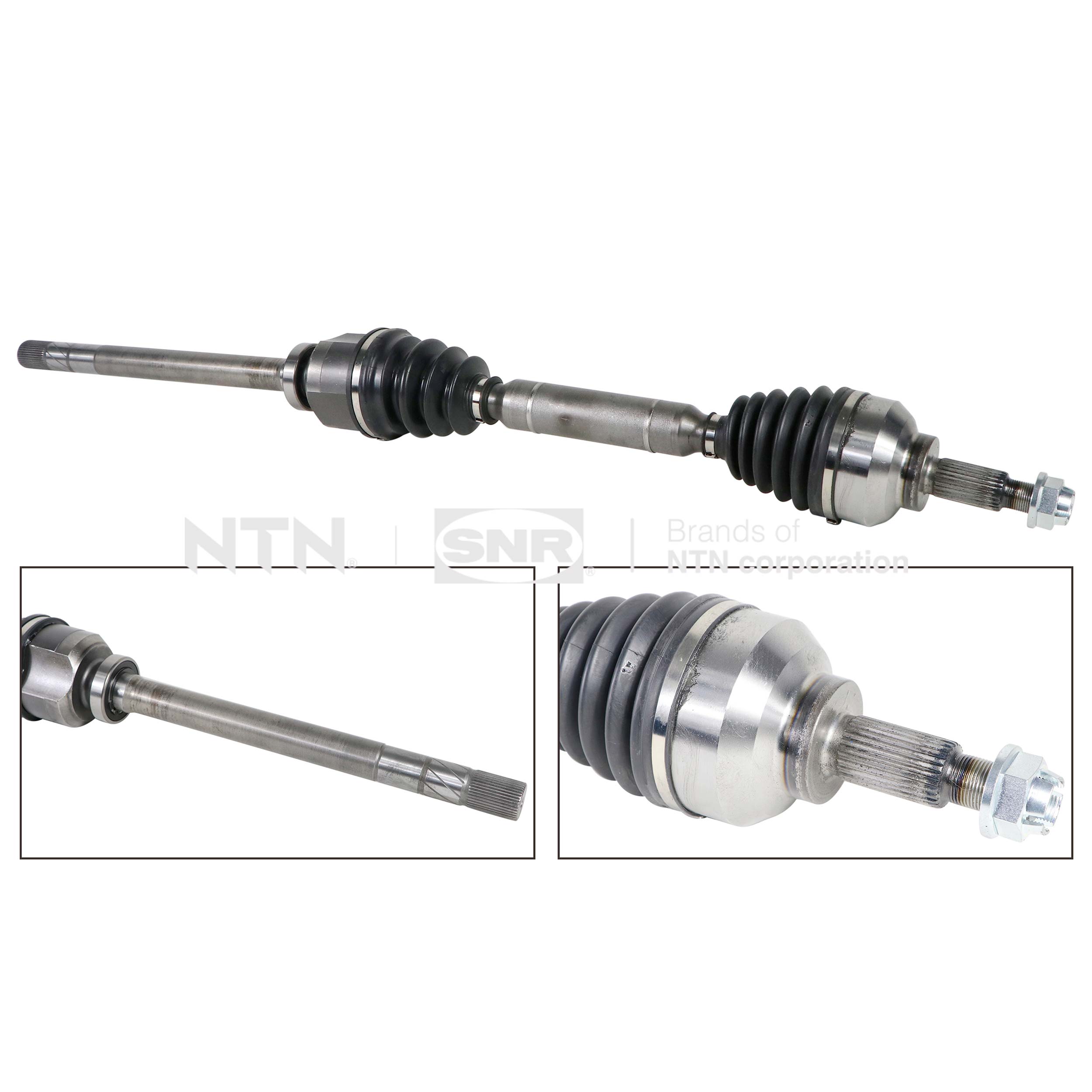SNR DK55.217 Albero...