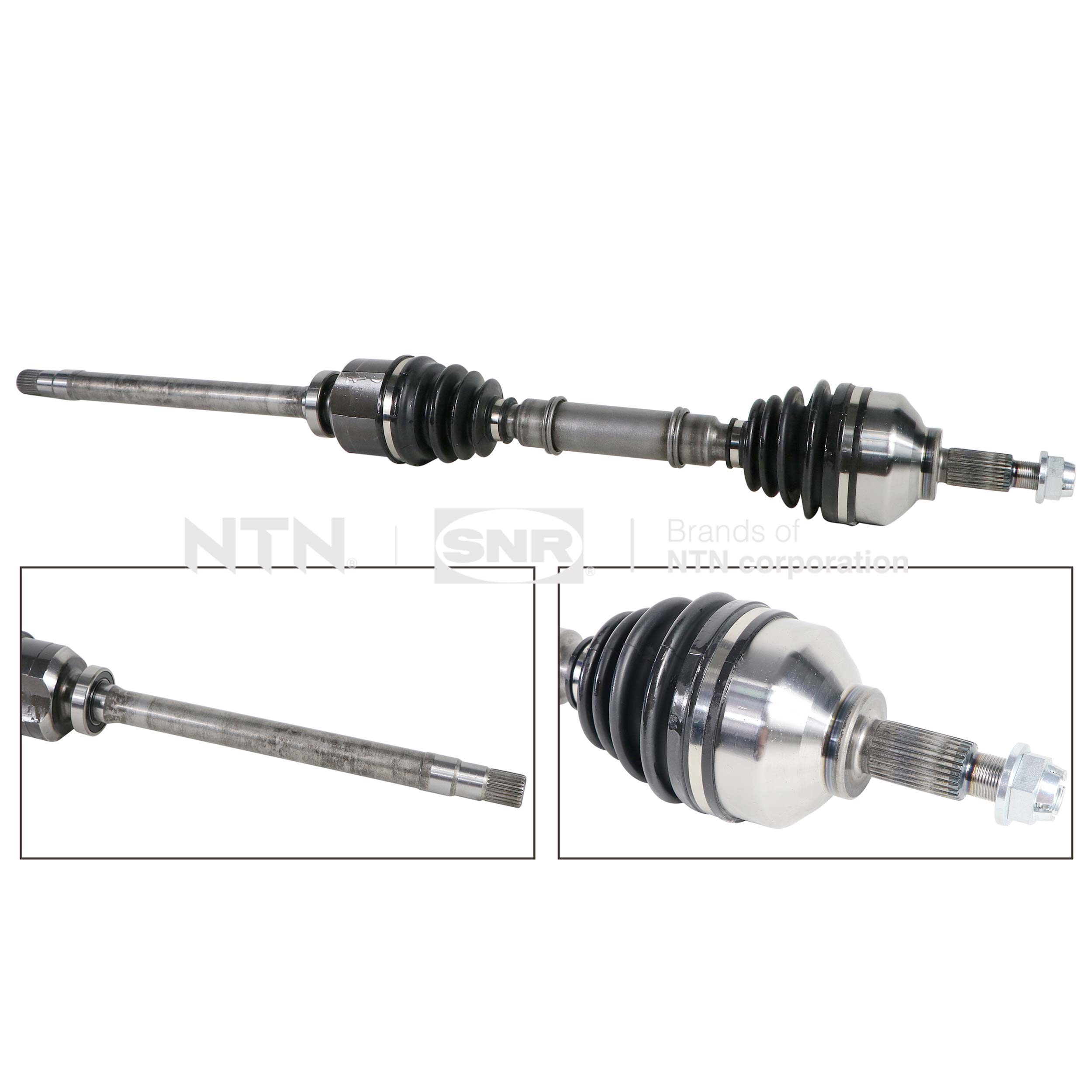 SNR DK55.219 Albero...