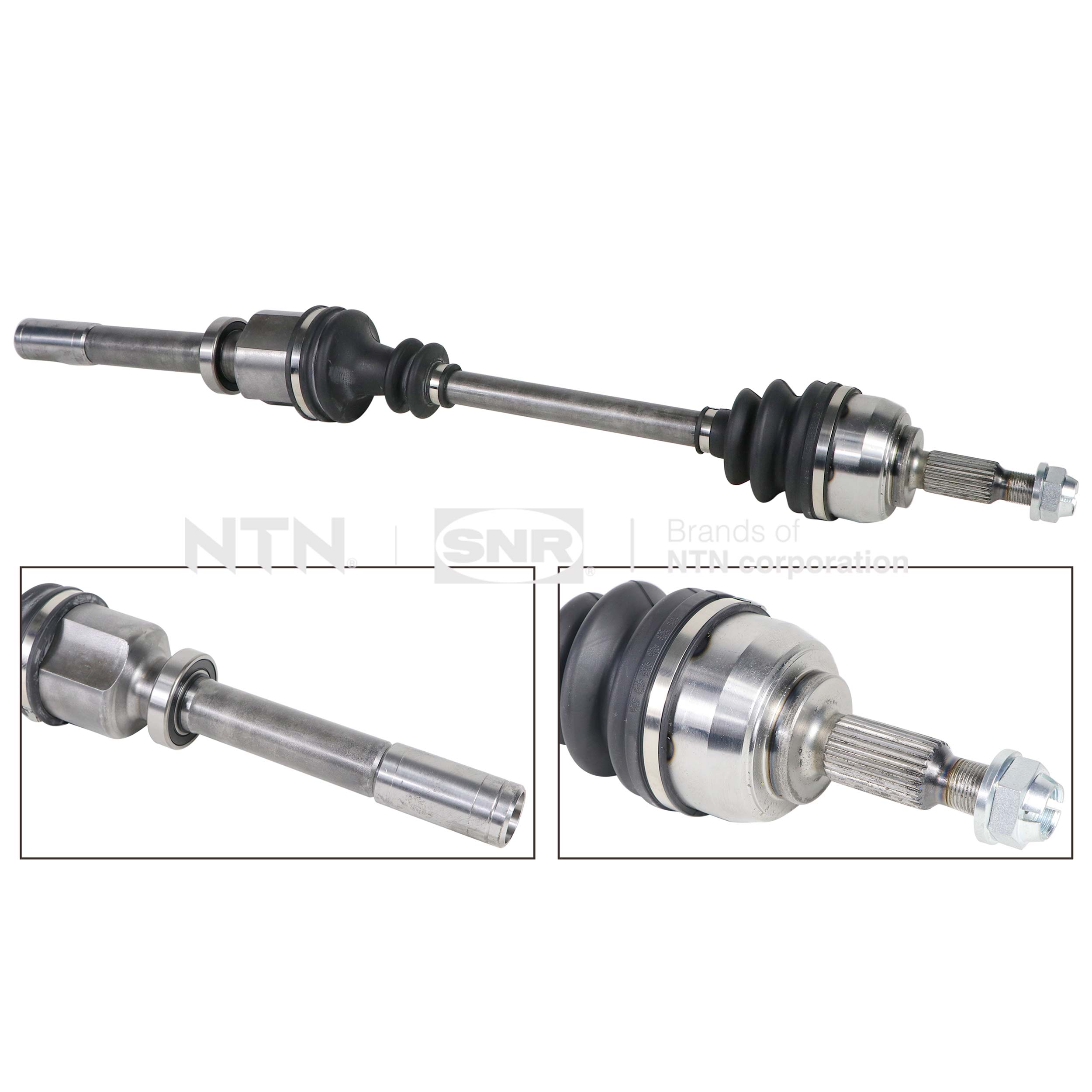 SNR DK55.221 Albero...