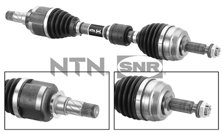 SNR DK55.222 Albero...