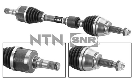 SNR DK55.223 Albero...