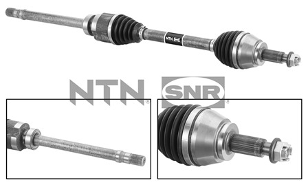 SNR DK55.224 Albero...