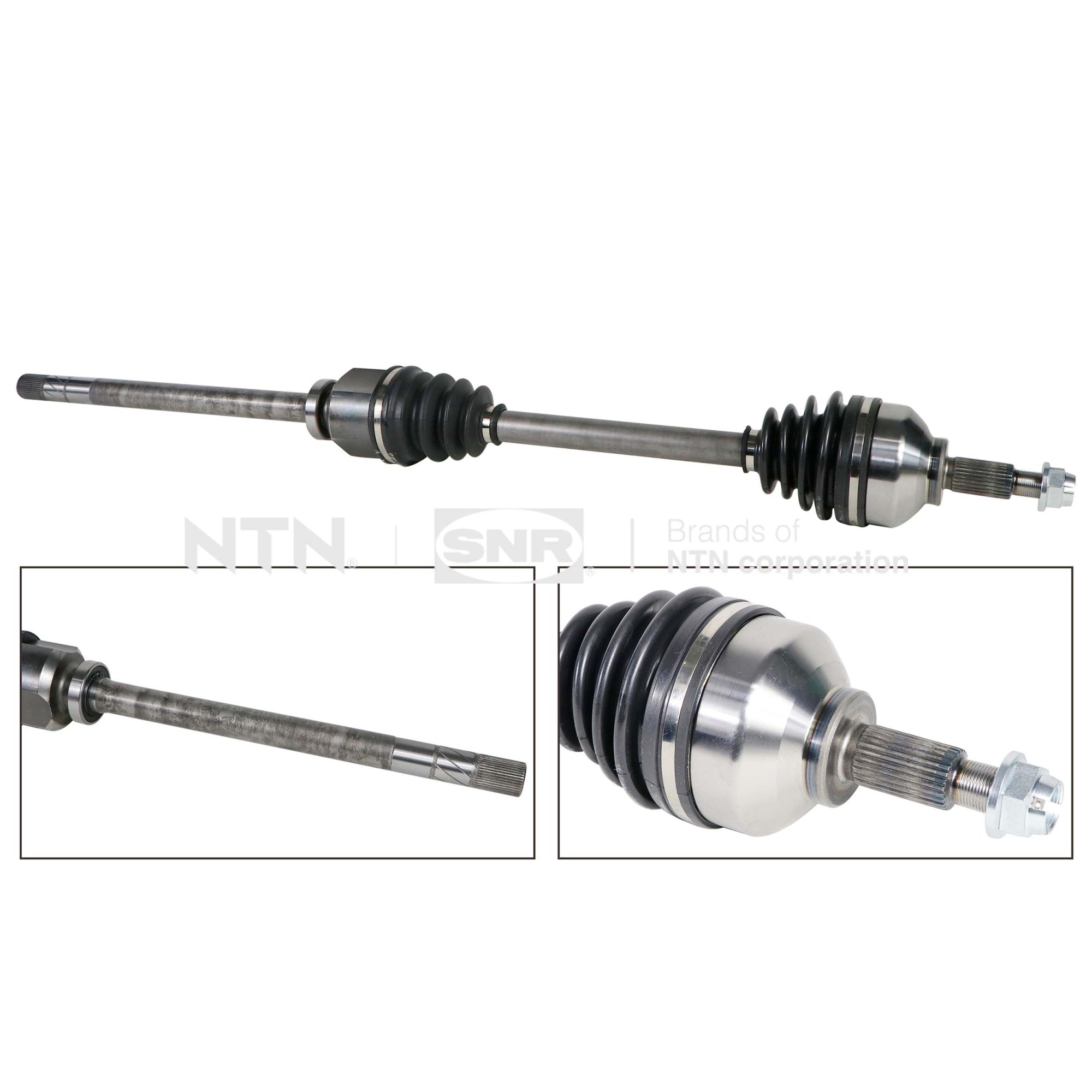 SNR DK55.227 Albero...