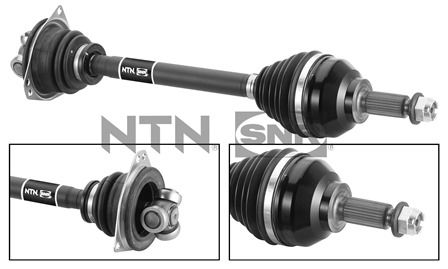 SNR DK55.228 Albero...