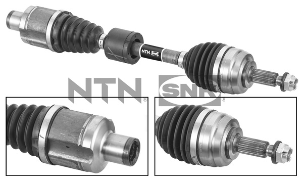 SNR DK55.231 Albero...