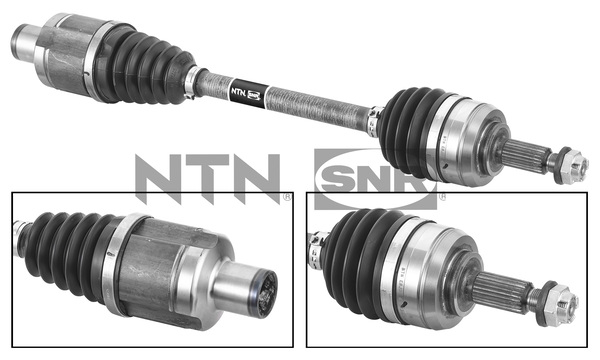 SNR DK55.233 Albero...