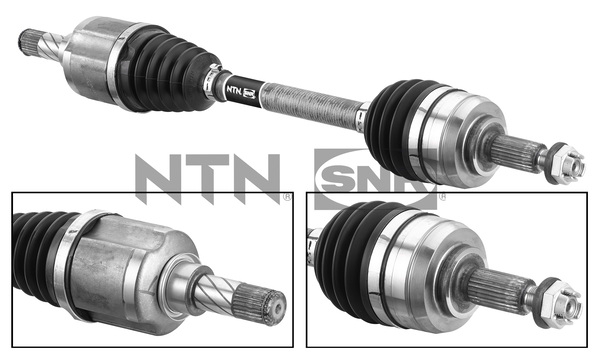 SNR DK55.234 Albero...